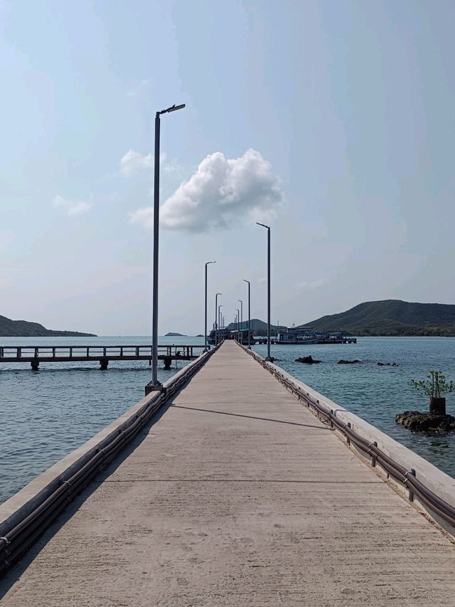 ดำน้ำดูปลาการ์ตูน @เกาะแสมสาร
