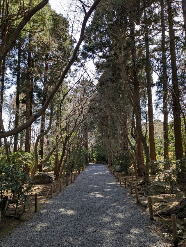 龍安寺の境内の鏡容池(おしどり池)の、水分石(みくまり石)の上には、２羽の鳥が仲良く並んでいた