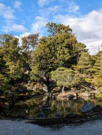 仁和寺の庭や池を眺めるていると、神社とは、また違う…寺院独特の荘厳な美しさを感じる