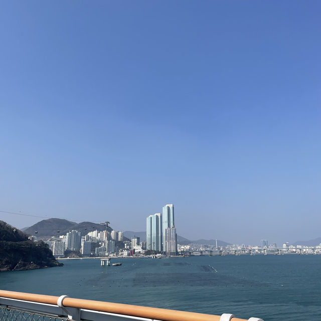 부산 송도 해상케이블카타고 가서 구름산책로 걷기 