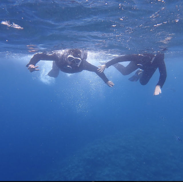 Okinawa Blue Cave Snorkeling 