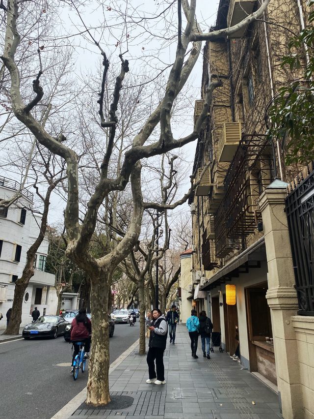 Beautiful street in Shanghai 🇨🇳