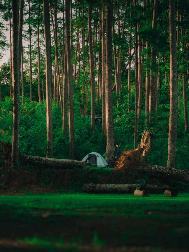 พิชิตดอยขุนตาล แบบละเอียดยิบบ 🚂⛰️