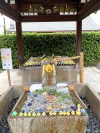 【京都観光】可愛いアヒルがお出迎え♡花玉手水に癒される寺院