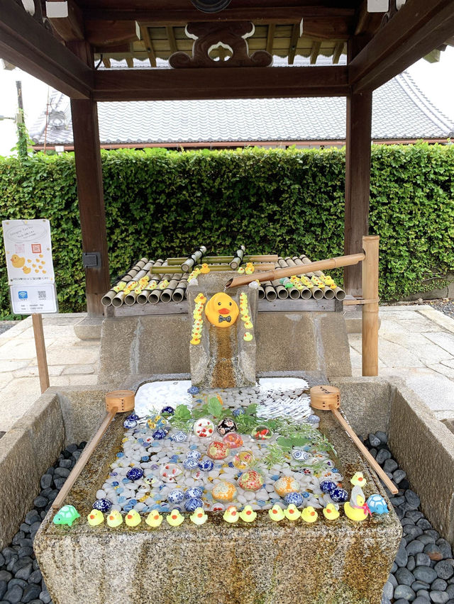 【京都観光】可愛いアヒルがお出迎え♡花玉手水に癒される寺院