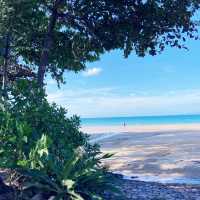 Affordable resort stay in Dusit Thani Krabi