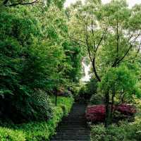 【日韓春天好去處】城市綠洲，親密接觸大自然