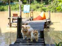 คาเฟ่โฮมมี่เปิดเฉพาะเสาร์-อาทิตย์ กิจกรรมเพียบ