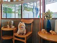 คาเฟ่&อาหารเหนือ ลำแต๊แต๊ หลังเซ็นทรัลชลบุรี 