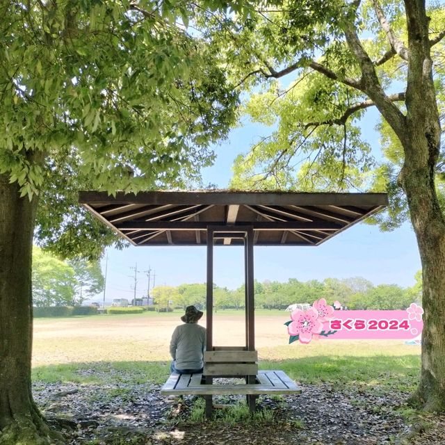 滋賀でキャンプ✨琵琶湖のほとりで無料でキャンプできるちゃう！