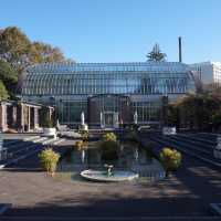 Complex of gardens in Auckland