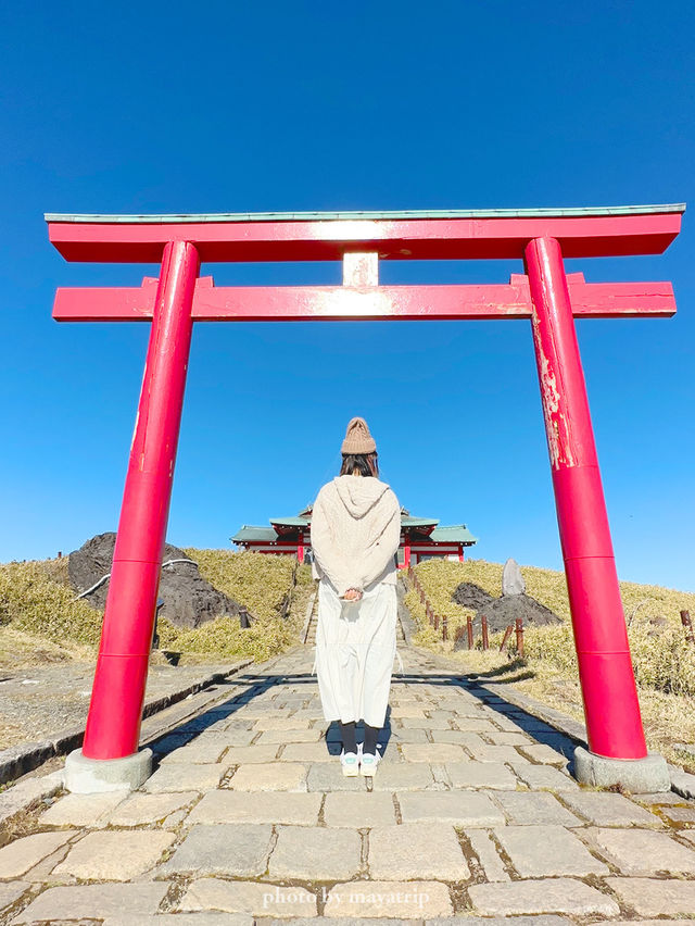 【神奈川/箱根】ロープウェイで天空の社殿へ 