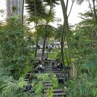 泰式園藝😊 Mafajai Garden