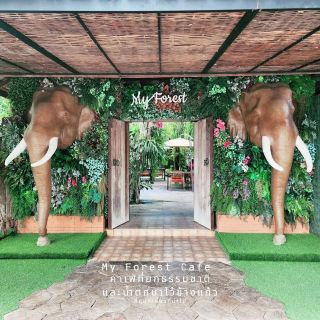 My Forest Cafe  杭東區 - 清邁