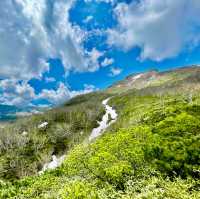 Unveil Hokkaido's Alpine Wonders
