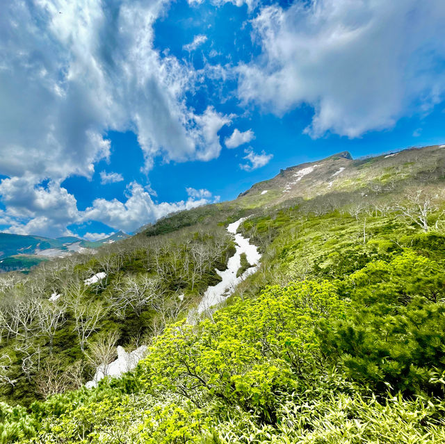 Unveil Hokkaido's Alpine Wonders