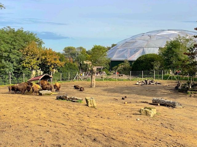 Rotterdam Zoo