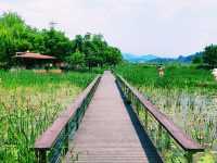 Hwapocheon wetland ecological park