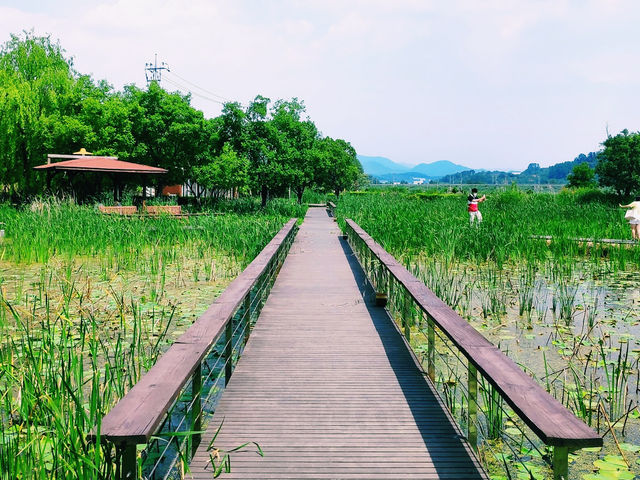 Hwapocheon wetland ecological park