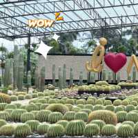 สวนนงนุช พัทยา🌵🍄
