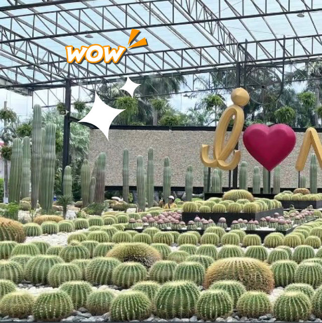 สวนนงนุช พัทยา🌵🍄 สวนนงนุช พัทยา🌵🍄