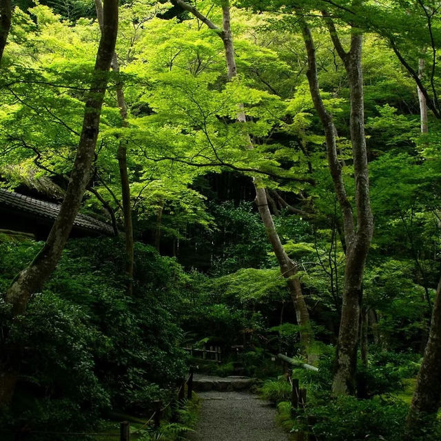 「增上寺：東京歷史寺廟，不容錯過！」
