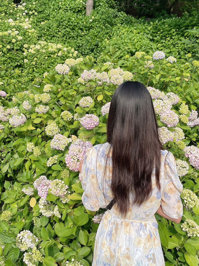 시원한 바다보러 부산으로 여행!!