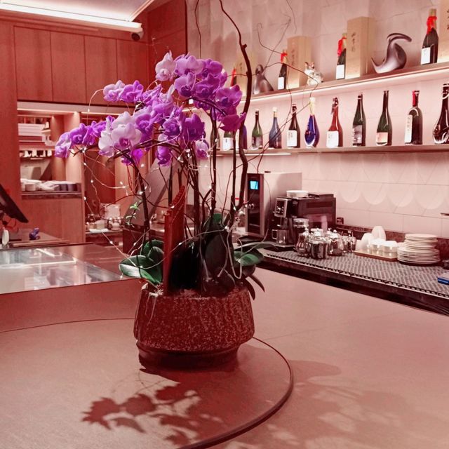 香港四季菊！美不勝收！