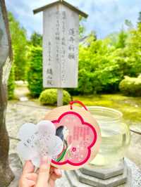 〜京都府〜絶世の美女のお寺さん歴史を感じる雅なお寺