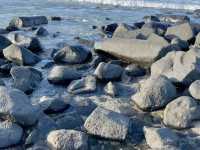 Burleigh