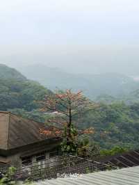 ⛰️🍃เที่ยวเมือง Jiufen ประเทศไต้หวัน