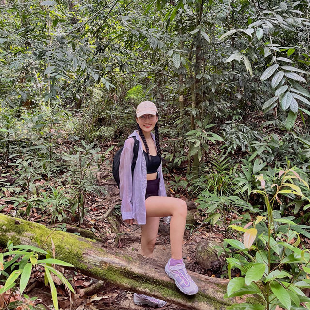 A tranquil escape into nature!