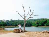 ขับรถเล่นไปสูดอากาศ เขาใหญ่กันมั๊ย