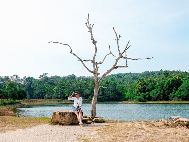 ขับรถเล่นไปสูดอากาศ เขาใหญ่กันมั๊ย