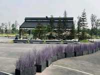 See Stars & Forest Cafe คาเฟ่เครื่องบินสกลนคร