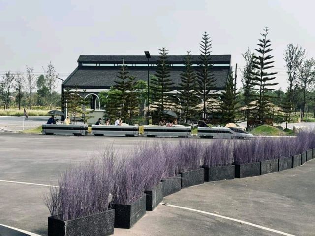 See Stars & Forest Cafe คาเฟ่เครื่องบินสกลนคร