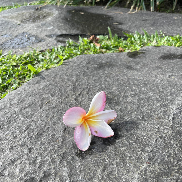 Bali, a place that I will definitely visit again and again 