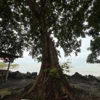 Small Town Gem At Tanjung Sepat