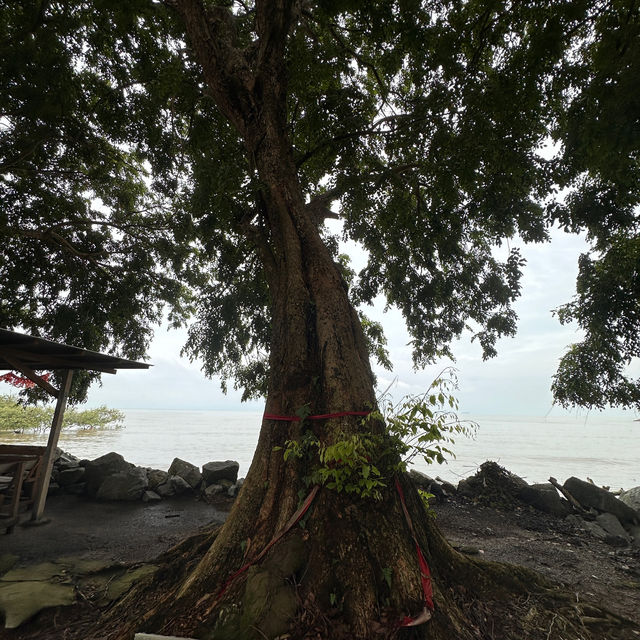 Small Town Gem At Tanjung Sepat