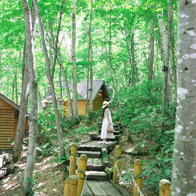 【北海道】初夏の北海道を堪能できるスポット！