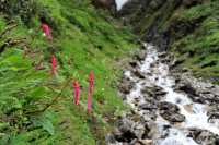 Bhutan at Glance