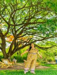 Like A Mountain คาเฟ่เขาใหญ่ 