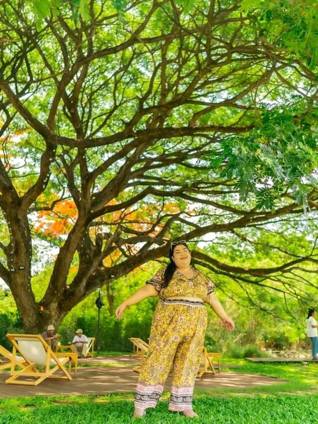 Like A Mountain คาเฟ่เขาใหญ่ 