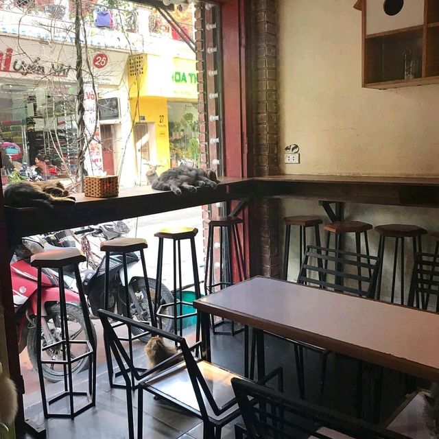 BASTET’S HOME COFFEE