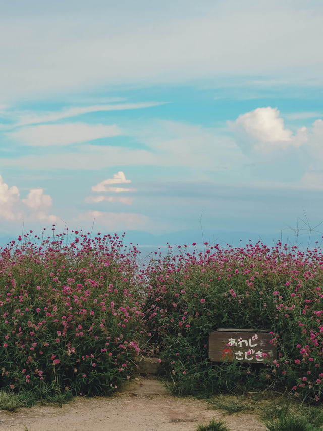 【兵庫】入場無料！淡路島にある絶景のお花畑！