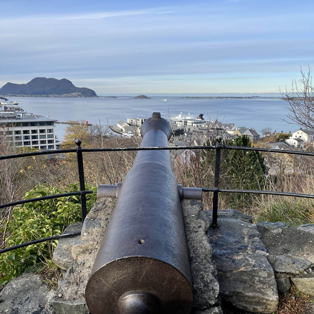 ノルウェー🇳🇴オーレスン