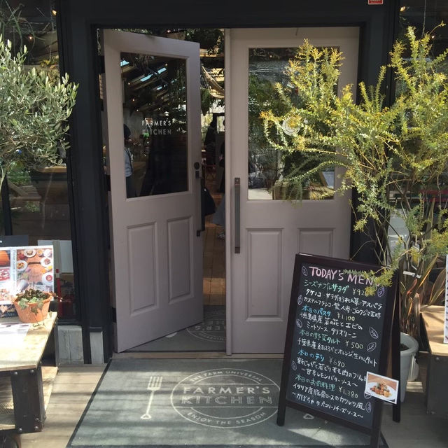 【茨木市】植物たくさんの中で食べる開放的なランチ