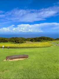 淡路島の無料お花スポット😊💐 兵庫県立公園あわじ花さじき💐😊
