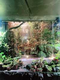 Gardens by the Bay: A Vertical Garden Wonderland