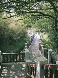 Hiking to the Highest Peak of Taipei, Qixing Mountain